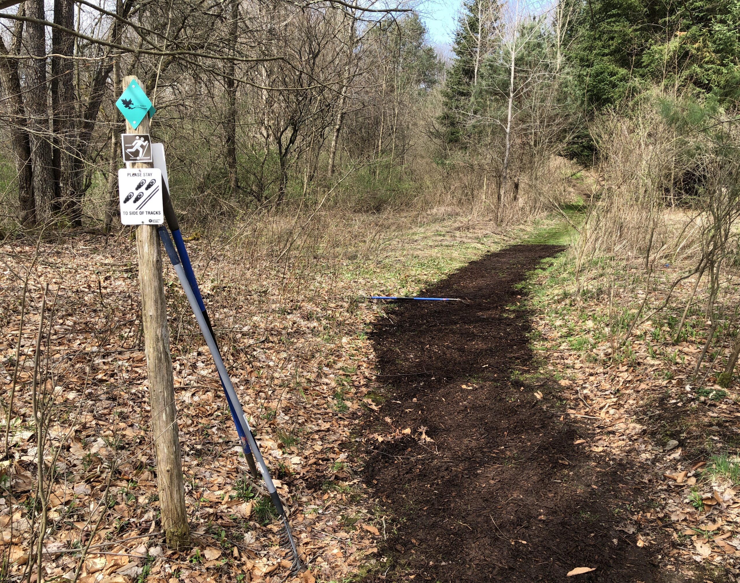 A picture of a freshly mulched trail at Lime Hollow Nature Center.